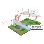 A chuva ácida é uma das consequências da poluição atmosférica. O dióxido de carbono (CO2) existente na atmosfera já torna a chuva levemente ácida, mesmo em condições naturais. O pH natural da água é 7 e quando em equilíbrio com o CO2 atmosférico é 5,6, pouco ácido. Os óxidos de enxofre (SO2 e SO3) e de nitrogênio (N2O, NO e NO2) são os principais componentes da chuva ácida. Esses compostos são liberados na atmosfera através da queima de combustíveis fósseis. Ao reagirem com as gotas de água da atmosfera, formam o ácido sulfúrico (H2SO4) e o ácido nítrico (HNO3). Juntos, esses dois ácidos provocam o aumento da acidez da água da chuva.Essa acidificação do solo e das águas superficiais exerce efeitos devastadores nos ecossistemas e representa um grave perigo para os seres vivos.