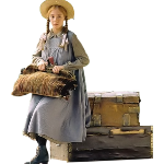 Anne with an E e uma série canadense baseada no livro Anne of Green Gables, escrito por Lucy Maud Montgomery. A história acompanha a vida de Anne Shirley, uma jovem órfã que, após uma infância de abusos entre orfanatos e casas de estranhos, é enviada por engano para viver com um casal de irmãos em idade avançada. Com o passar do tempo, a pequena garota de 13 anos transforma a vida de Marilla, Matthew Cuthbert e de toda a cidade com seu jeito extrovertido, sua inteligência e imaginação brilhante. As aventuras de Anne abordam temas atemporais e de atual relevância como identidade, feminismo, bullying e preconceito.