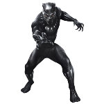 Black Panther is a 2018 action/sci-fi film directed by Ryan Coogler. The film stars Chadwick Boseman as T