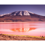 A Bolívia é um país cheio de cultura, paisagens deslumbrantes e atrações turísticas interessantes. Aqui estão alguns dos principais destinos turísticos da Bolívia: Salar de Uyuni: o maior deserto de sal do mundo, com mais de 10.000 km² de sal branco e cristalino. É uma das paisagens mais icônicas da América do Sul. La Paz: a capital administrativa da Bolívia, com um centro histórico encantador, muitos museus, mercados vibrantes e uma vida noturna agitada. Lago Titicaca: o lago navegável mais alto do mundo, localizado na fronteira entre a Bolívia e o Peru. É possível visitar as ilhas flutuantes dos Uros, as ilhas Taquile e Amantaní e experimentar a cultura local. Parque Nacional Madidi: um parque nacional na Amazônia boliviana, com uma rica biodiversidade e muitas opções para caminhadas, observação de pássaros e passeios de barco. Rota das Missões Jesuíticas: um conjunto de ruínas de igrejas e missões jesuíticas que datam do século XVIII, localizadas no leste da Bolívia.