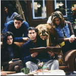 Antes de chegar à designação de "Friends", a série foi considerada com outros títulos como "Friends Like Us", "Six of One", "Across the Hall" e até "Insomnia Cafe". "I