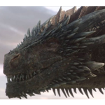 Relatos indicam que cada episódio de House of the Dragon custou aproximadamente US$ 20 milhões, o que significa que a 1a temporada foi de US$ 200 milhões. Contrastando com a primeira temporada de Game of Thrones, que custou cerca de US$ 6 milhões por episódio, e a última, que teve um gasto de US$ 15 milhões, podemos perceber que House of the Dragon foi muito mais cara. Além disso, há outras séries ainda mais dispendiosas. Por exemplo, Stranger Things custa US$ 30 milhões por episódio e O Senhor dos Anéis: Os Anéis de Poder teve um orçamento de US$ 465 milhões para a sua primeira temporada.