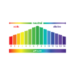 O pH é a medida da acidez ou alcalinidade de uma solução aquosa, com valores que variam de 0 a 14. 0 é o mais ácido e 14 é o mais alcalino, enquanto 7 é neutro, não tendo efeito sobre o sistema. A sigla "pH" significa "potencial de hidrogênio" e é usada para medir a relação entre íons H3O+ e OH- na solução. De acordo com a teoria ácido-base de Arrhenius, ácidos são substâncias que liberam íons hidrônio (H3O+) na água, e bases são substâncias que liberam íons hidroxila (OH-). A água sofre o processo de autoionização, o que significa que ela contém a mesma quantidade de H3O+ e OH- em sua composição, definindo o pH da solução.