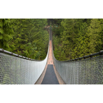 A Capilano Suspension Bridge é uma ponte suspensa localizada em Vancouver, Canadá, que atrai visitantes de todo o mundo. A ponte foi construída em 1889 e se estende por 140 metros de comprimento, atravessando o rio Capilano a uma altura de 70 metros do chão. A ponte suspensa é uma atração popular para turistas que buscam aventuras e vistas deslumbrantes da natureza. Além da ponte, o local oferece outras atividades como trilhas na floresta e passeios em tirolesa. Em 2011, a Capilano Suspension Bridge foi reconstruída para melhorar a segurança e a experiência do visitante. Atualmente, a ponte é uma das atrações mais populares de Vancouver, com visitantes podendo desfrutar de uma experiência única ao caminhar sobre as árvores e observar a beleza natural da região.