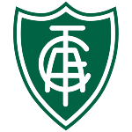 Apesar de ser frequentemente chamado de “América Mineiro” para que não se confunda com os outros “Américas” do futebol brasileiro, o clube, ao contrário do rival Atlético, não carrega “Mineiro” no nome oficial: seu batismo é apenas América Futebol Clube. O América foi o primeiro time a ser fundado por um negro: Geraldino de Carvalho estava entre os jovens que fundaram o clube em 30 de Abril de 1912.