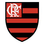 O Flamengo foi fundado em 17 de novembro de 1895, mas a data oficial da fundação foi alterada para 15 de novembro, feriado nacional da Proclamação da República. Seis jovens moradores do bairro queriam disputar remo com outros rapazes do Rio de Janeiro e por isso decidiram criar o como Grupo de Regatas do Flamengo, rebatizado como Clube de Regatas do Flamengo, em 28 de outubro de 1902.